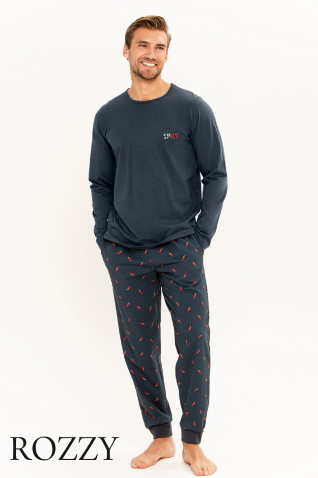 Пижама мужская Taro Eric 3312/3313 графитовый