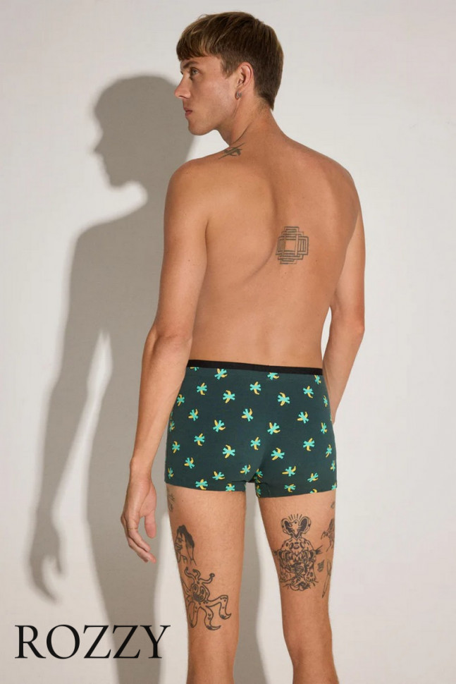 Набор трусы шорты мужские + носки Ysabel Mora 20384 темно-зеленый