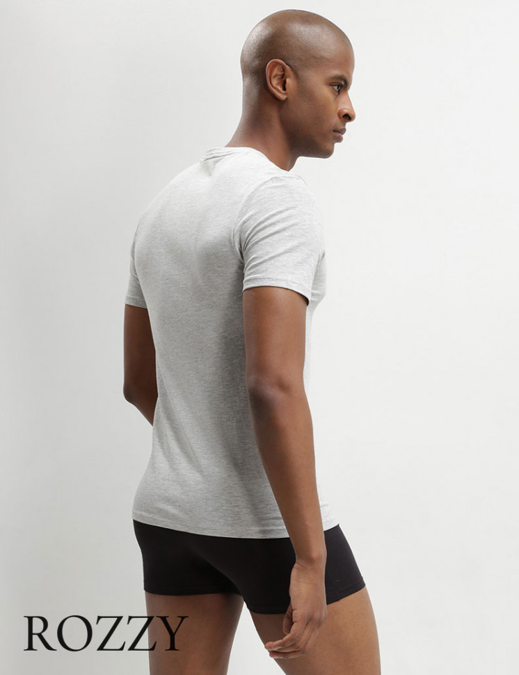 Футболка мужская DIM 0A6E белый/серый (уп.2шт.)