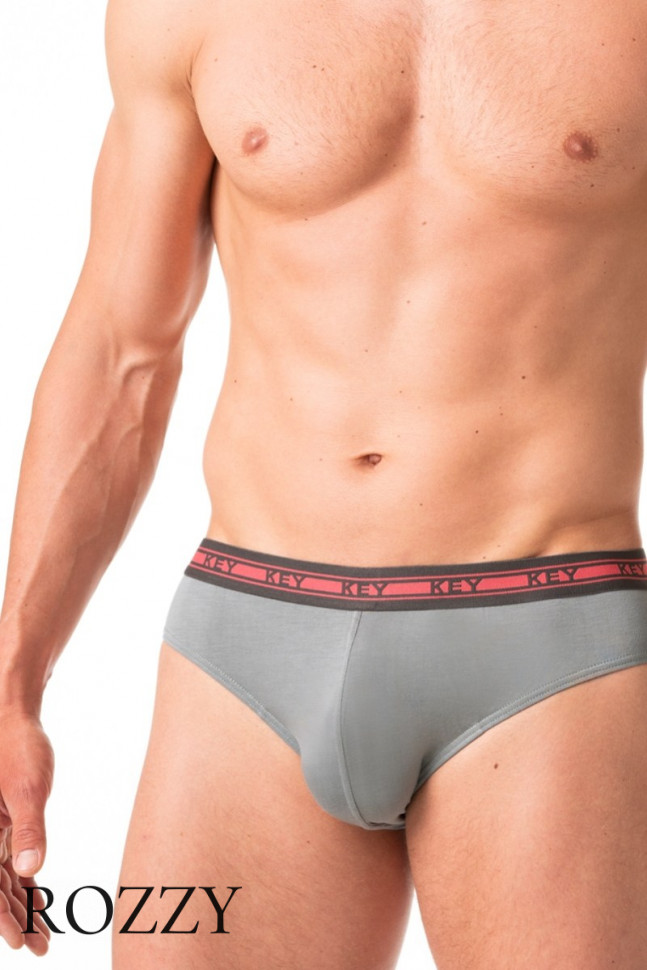 Трусы слипы мужские Key MPP 178 A24 графитовый/серый (уп.2шт.)